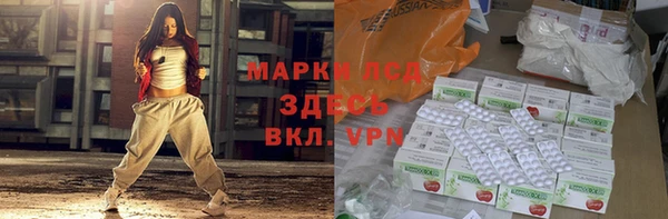 амф Верея