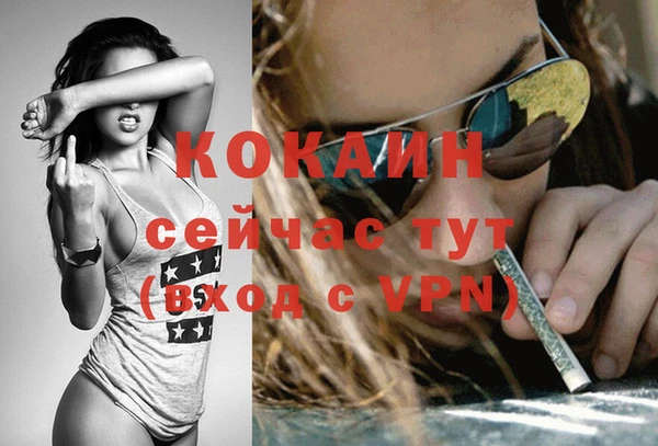 амф Верея