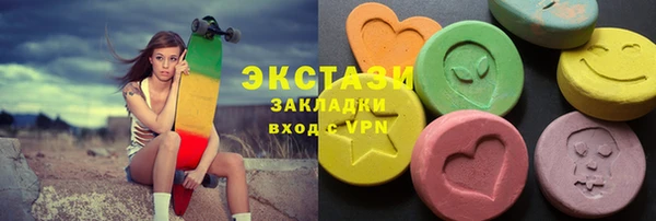 индика Богданович