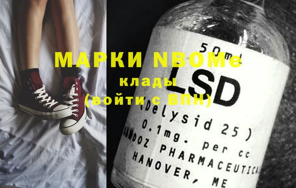 индика Богородицк